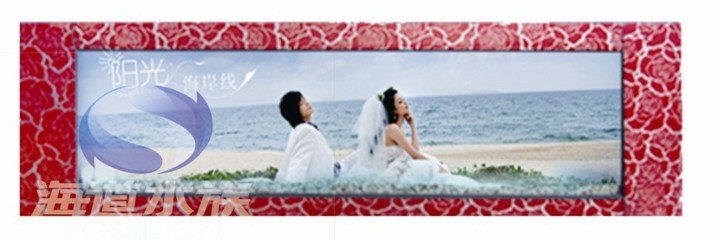 探索家居新美學 保定壁掛式魚缸與懸掛式水族箱的魅力