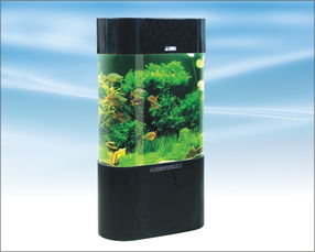 森森亞克力水族箱 打造靈動家居水景的藝術之選